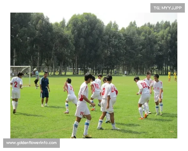 青少年足球训练营与夏令营热度飙升 青少年足球训练营与夏令营热度飙升